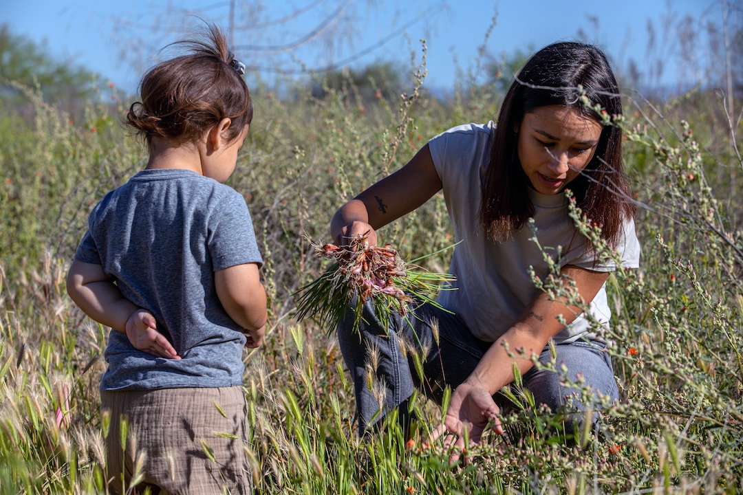 Chelsey Luger and her daughter Alo, 2, pick i’itoi onions on the Salt River Pima-Maricopa Indian Community, a few miles from their home outside Scottsdale, Ariz., on April 5, 2020. Luger and her husband, Thosh Collins, founded an Indigenous wellness program called Well for Culture. (Caitlin O'Hara/The New York Times)