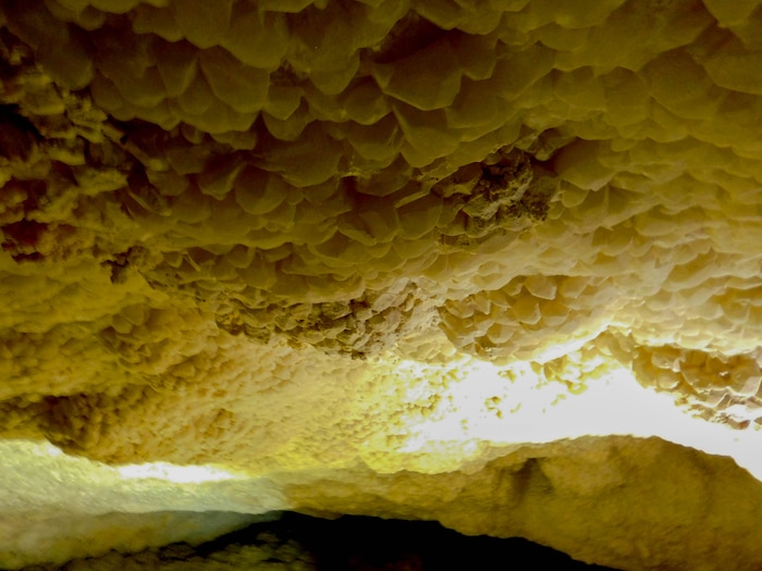 Erin Alberty  |  The Salt Lake TribuneCalcite formations known as "cowboy crystals" cling to the ceiling of Crystal Ball Cave in Gandy, Utah.