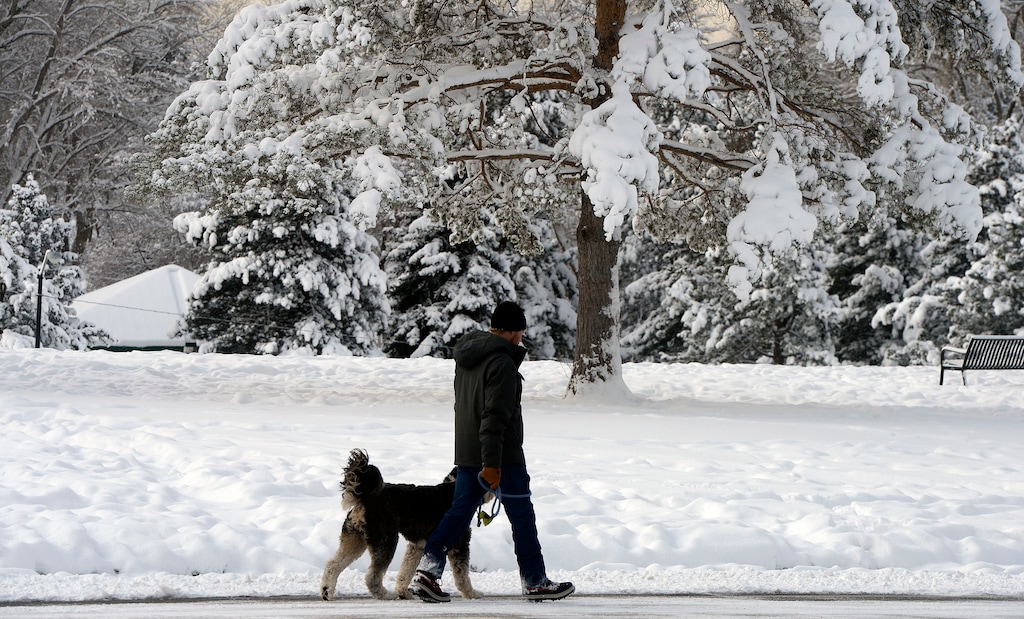 (Al Hartmann  |  The Salt Lake Tribune) 	
A person walks their dog through Sugar House Park on Feb. 20, 2018. The first major storm of the season should help the snowpack in the mountains.