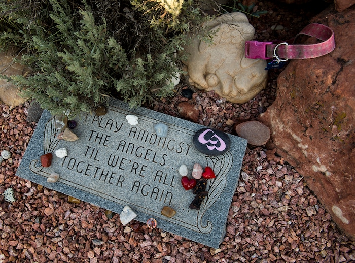 Leah Hogsten  |  The Salt Lake Tribune
Angels Rest is a three-acre cemetery for some 5,000 ÒplacementsÓ of dogs, cats, pigs, guinea pigs, birds and more features memorials of all kinds including wind chimes, painted rocks and personal effects. 
 Best Friends saves thousands of animals every year as the nation's largest no-kill sanctuary, encompassing some 3,700 acres about 5 miles outside Kanab.
