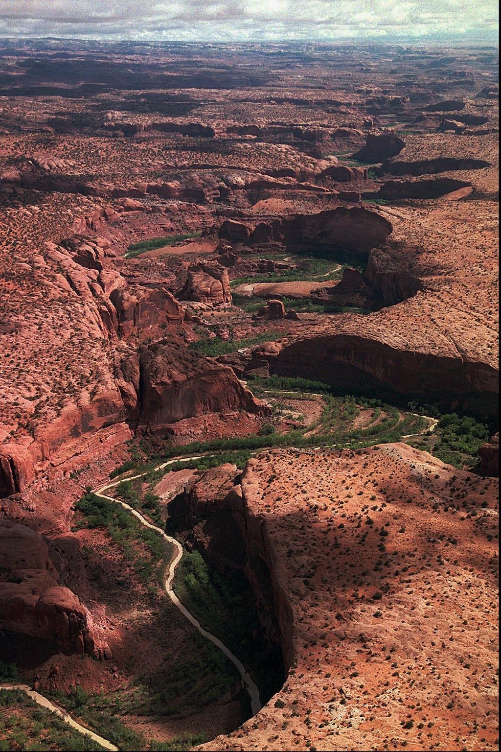 (Tribune file photo) The serpentine Escalante River carves its way through the sandstone landscape of Grand Staircase-Escalante National Monument.