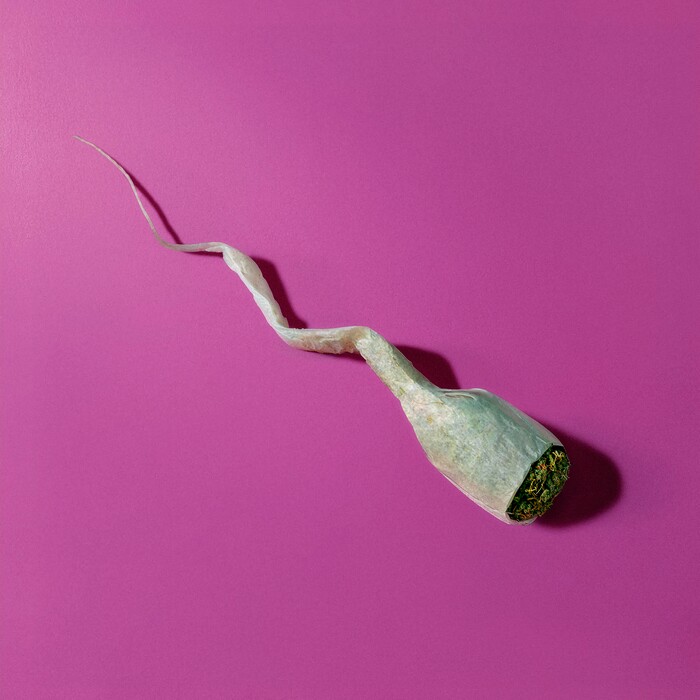 (Javier Jaén | The New York Times) A growing body of evidence now shows that cannabis is destructive to male fertility.