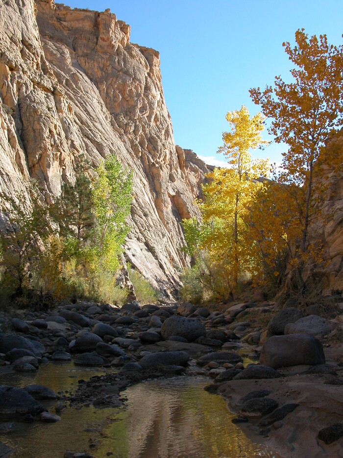 (photo courtesy Manny Mellor) The Escalante River in the Grand Staircase-Escalante National Monument.