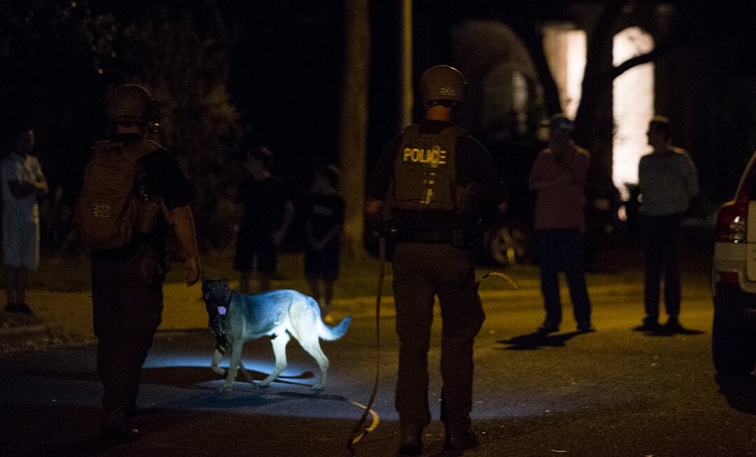 A bomb detecting unit walks along a street near the scene of an explosion, Sunday, March 18, 2018, in Austin, Texas. (Nick Wagner/Austin American-Statesman via AP)
