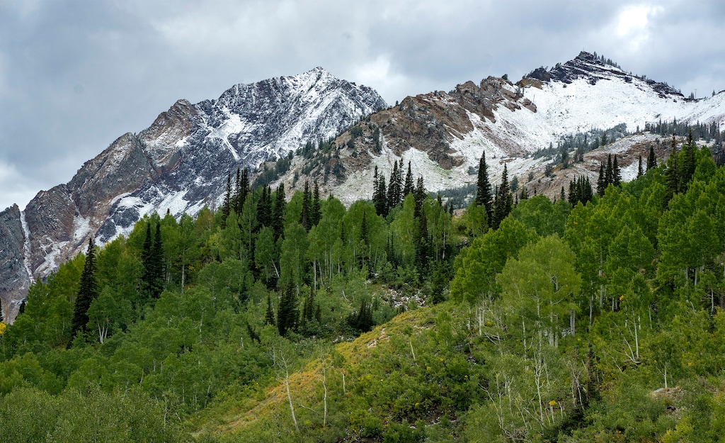 (Rick Egan | The Salt Lake Tribune) New snow near Albion Basin, at Alta Ski Area in Little Cottonwood Canyon, on Tuesday, Sept. 17, 2024.
