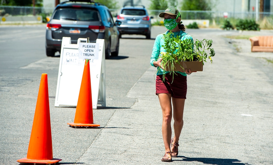 (Rick Egan  |  The Salt Lake Tribune)   Savannah Simmons-Grover delivers plants to a customer in their car during the Wasatch Community Gardens 2020 Spring Plant Sale Fundraiser, Saturday May 9, 2020
