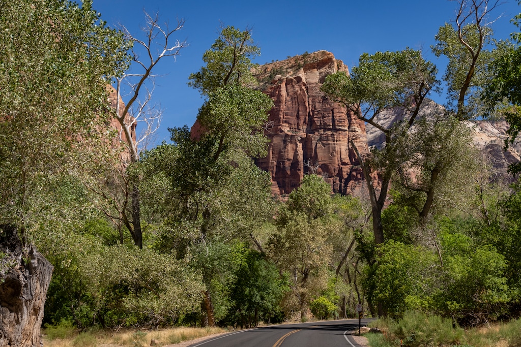(Rick Egan | The Salt Lake Tribune) Angels Landing at Zion National Park, on Tuesday, August 12, 2025.