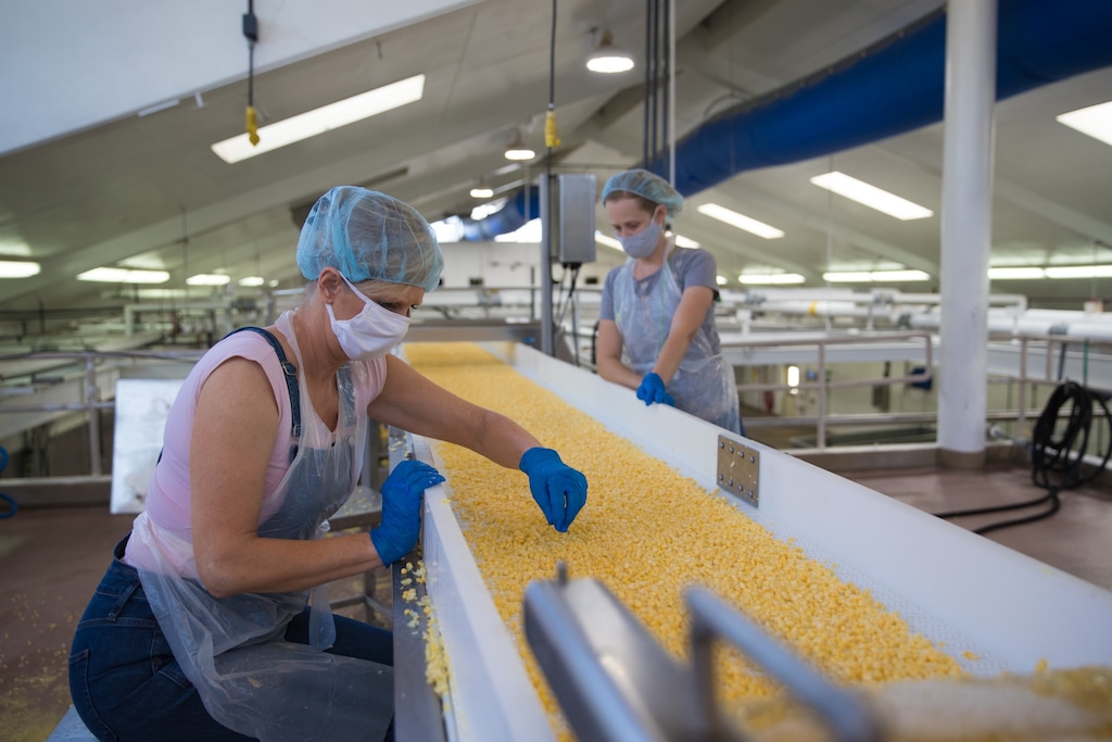 (Photo courtesy of The Church of Jesus Christ of Latter-day Saints) Workers at the Murray Cannery, owned by The Church of Jesus Christ of Latter-day Saints, inspect corn kernels for processing on Friday, Aug. 14, 2020. The church announced Monday, Aug. 17, that the Murray Cannery will close in January 2021, and operations merged with its cannery in Harrisville, Utah.