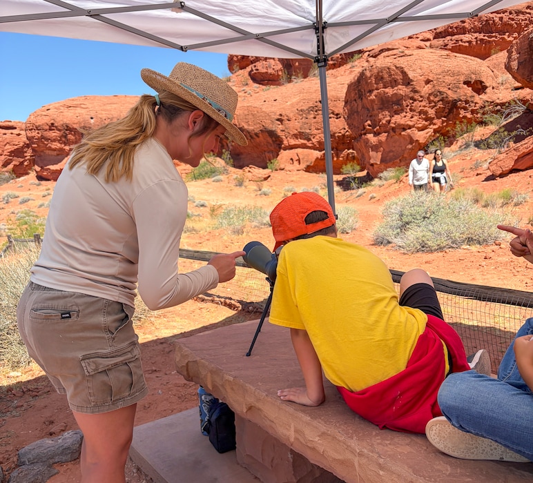 (Washington County Water Conservancy District) Red Hills Desert Garden staff and visitors use a spotting scope to keep an eye on the great horned owl family.