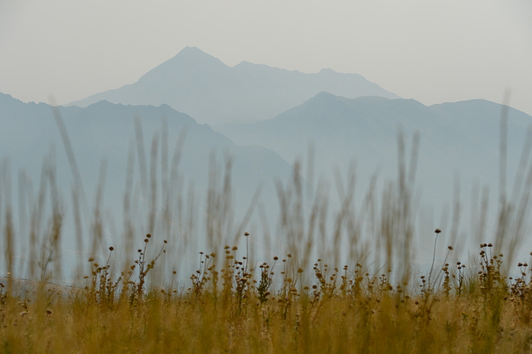 (Francisco Kjolseth  |  The Salt Lake Tribune)  An abundance of dry fuel makes for dangerous conditions as Mount Timpanogos stands higher than the rest with thick smoke enveloping the mountains in Utah County contributing to poor air quality as crews continue to battle the Coal Hollow Fire near Highway 6, Saturday Aug. 11, 2018.