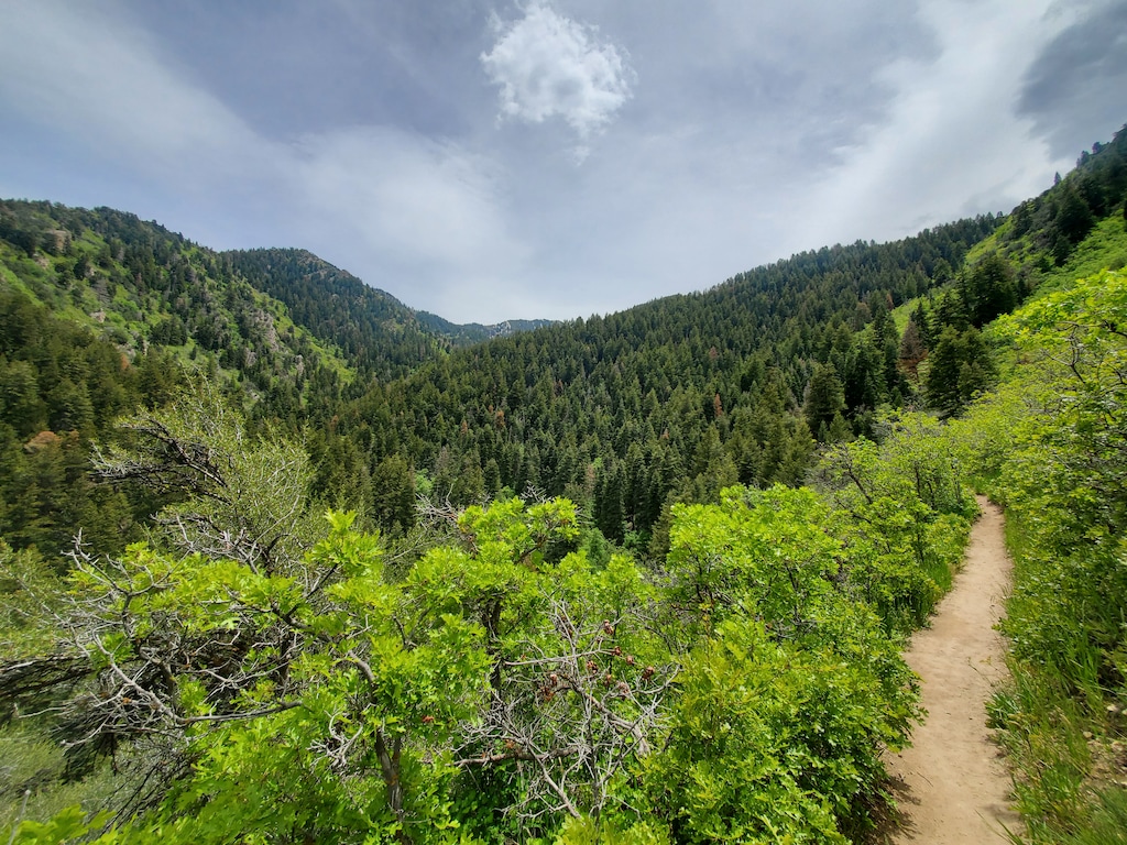 (Becky Jacobs | The Salt Lake Tribune) Thayne Canyon Loop in Mill Creek Canyon pictured on June 4, 2022.