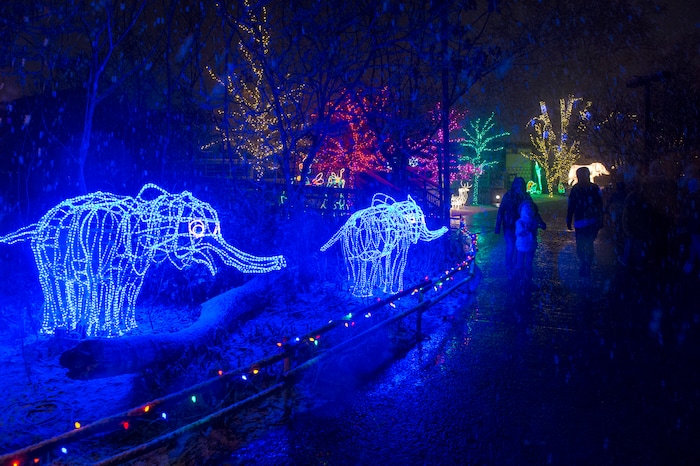 (Rick Egan  |  The Salt Lake Tribune)   The ZooLights at Hogle Zoo are turned on, Friday, Nov. 30, 2018. The lights continue  through December 31st, 


