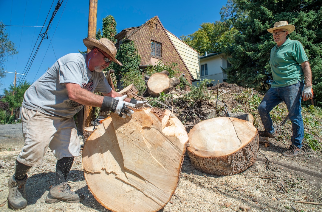 (Rick Egan  |  The Salt Lake Tribune)    John Maddox helps his brother Mike Maddox, clean up the remains of the spruce tree that was blown over by the wind earlier this week on Yale Avenue, Saturday, Sept. 12, 2020.