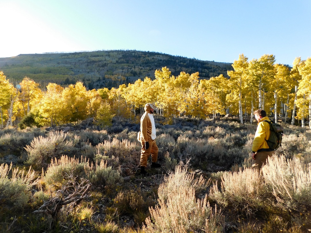 (Erin Alberty  |  The Salt Lake Tribune) Comedians Brad Einstein and Kyle Niemer perform for a video of comedy sketches about ecology — or "silly bits in the woods," as Einstein calls them — on Oct. 5, 2017 at the Pando aspen clone in Sevier County. The team, from Chicago, is producing the video as part of a fundraising campaign for interpretive signs at Pando, the largest aspen grove and most massive living thing known on earth.