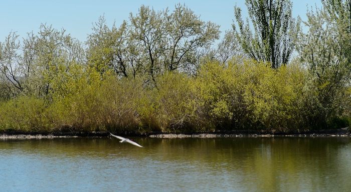 Trent Nelson | The Salt Lake Tribune
Jensen Nature Park in Syracuse, along the proposed route of the West Davis Corridor highway, Thursday May 4, 2017.