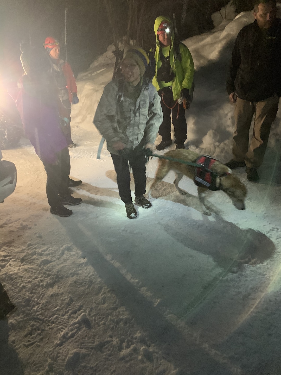 (Photo courtesy of the Utah County Sheriff's Office) Rescuers help a dog that  fell into a 40-foot snow cavern at Stewart Falls near Sundance Ski Resort. The dog, Beeroo, fell through a hole in the ceiling on Saturday, Feb. 2. The dog was reunited with its owner.