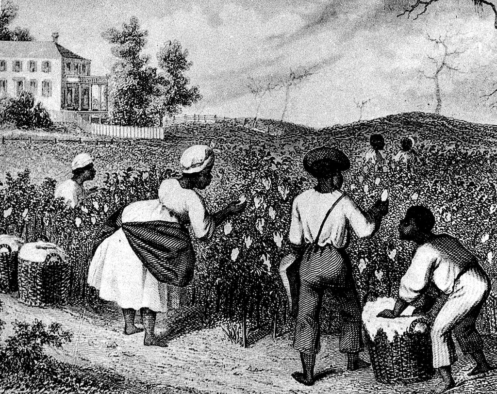 In an undated illustration, black people work in a cotton field during the pre-Civil War era in the southern United States. (AP Photo)