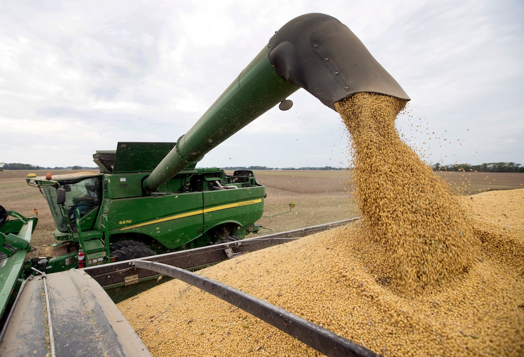 FILE - In this Sept. 21, 2018, file photo, Mike Starkey offloads soybeans from his combine as he harvests his crops in Brownsburg, Ind. The escalating trade war between the U.S. and China is causing anxiety among rural farmers and bankers. Upper Midwest soybean farmer Jamie Beyer says these are days of "a little bit of panic." Minnesota agriculture lender Kent Thiesse says most farmers were able to get financing for spring planting, but more federal aid might be needed to head off "serious losses" this fall. (AP Photo/Michael Conroy, File)