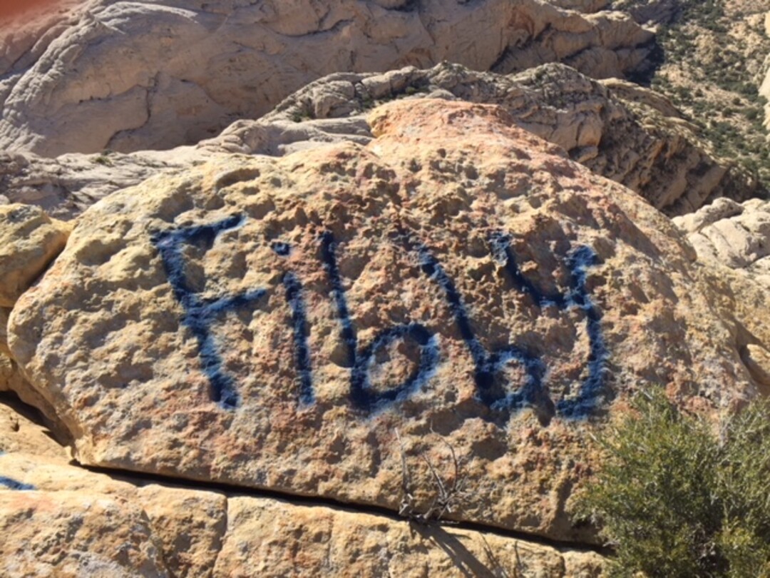 (Photo courtesy of Snow Canyon State Park) Snow Canyon State Park officials are looking for information on vandalism near White Rocks. Anyone with tips is asked to call 435-628-2255 or email snowcanyon@utah.gov.