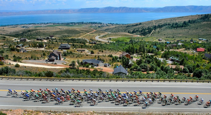 Steve Griffin  |  The Salt Lake TribuneThe peloton heads back up Logan Canyon during Stage 1 of the Tour of Utah bicycle race Monday July 31, 2017. Racers started in Logan and rode around Bear Lake before heading back to Logan for the finish.