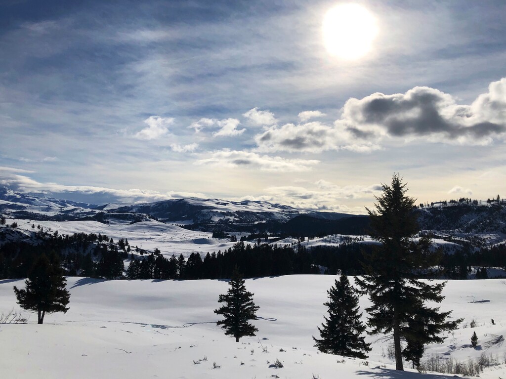 (Matthew Brown | AP) This Feb. 17, 2020 photo shows Yellowstone National Park's Lamar Valley near Mammoth, Wyo. On Tuesday, March 24, 2020 the National Park Service announced that Yellowstone and Grand Teton National Parks would be closed until further notice, and no visitor access will be permitted to either park.