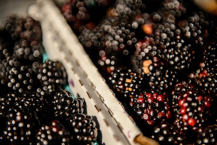(Trent Nelson | The Salt Lake Tribune)  Blackberries from Weeks Berries of Paradise at the Tuesday Farmer's Market in Salt Lake City's Pioneer Park, Tuesday Aug. 14, 2018. The laid-back market continues now through September and features about 20 vendors.