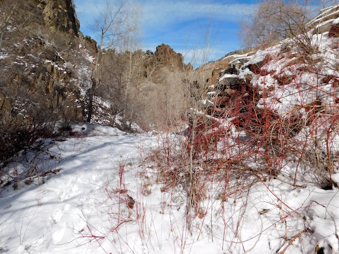 Erin Alberty | The Salt Lake Tribune
A scene from the canyons near Monrovian Park in Sevier County on March 8, 2017.
