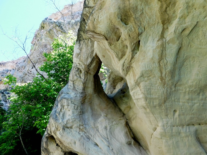 Erin Alberty  |  The Salt Lake TribuneA hole has formed in a rock wall in Box Canyon in Dinosaur National Monument. Photo taken May 29, 2017.