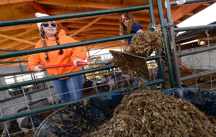 Francisco Kjolseth | The Salt Lake Tribune
Amelia Costin, left, and Katelinn Mix, clean out the pig pen as part of a Intro to Agriculture class. At Roots, Utah's first farm-based charter school in West Valley City, students get hands on experience working at the school's farm just down the street from the school. A legislative task form is recommending changes to the way Utah's charter schools are funded. 
