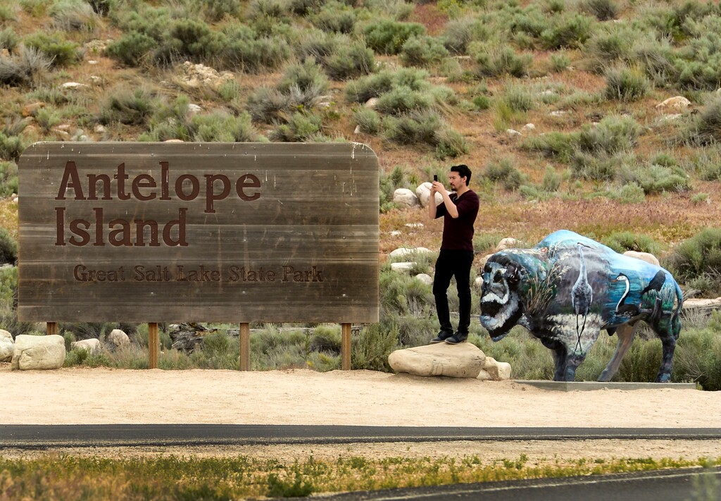 (Leah Hogsten  |  The Salt Lake Tribune) A man snaps a selfie on Antelope Island, May 19, 2020.