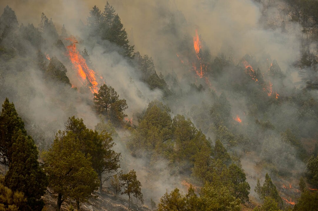 (Trent Nelson | The Salt Lake Tribune) The Coal Hollow Fire burns along Highway 6 in Utah County, Friday Aug. 10, 2018.