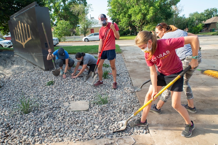 (Rick Egan  |  The Salt Lake Tribune)      Volunteers from the Church of Jesus Christ of Latter Day Saints Highland Utah South Stake help xeriscape the grounds around the congregation Koa Ami, on Wednesday, Aug. 5, 2020.