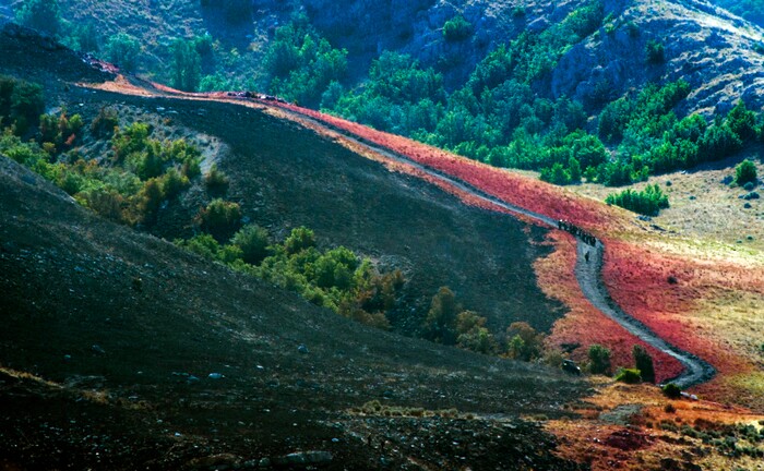 (Rick Egan  |  The Salt Lake Tribune) Crews battle the Green Ravine fire as it continues to burn near Tooele, Wednesday, Sept. 4, 2019.