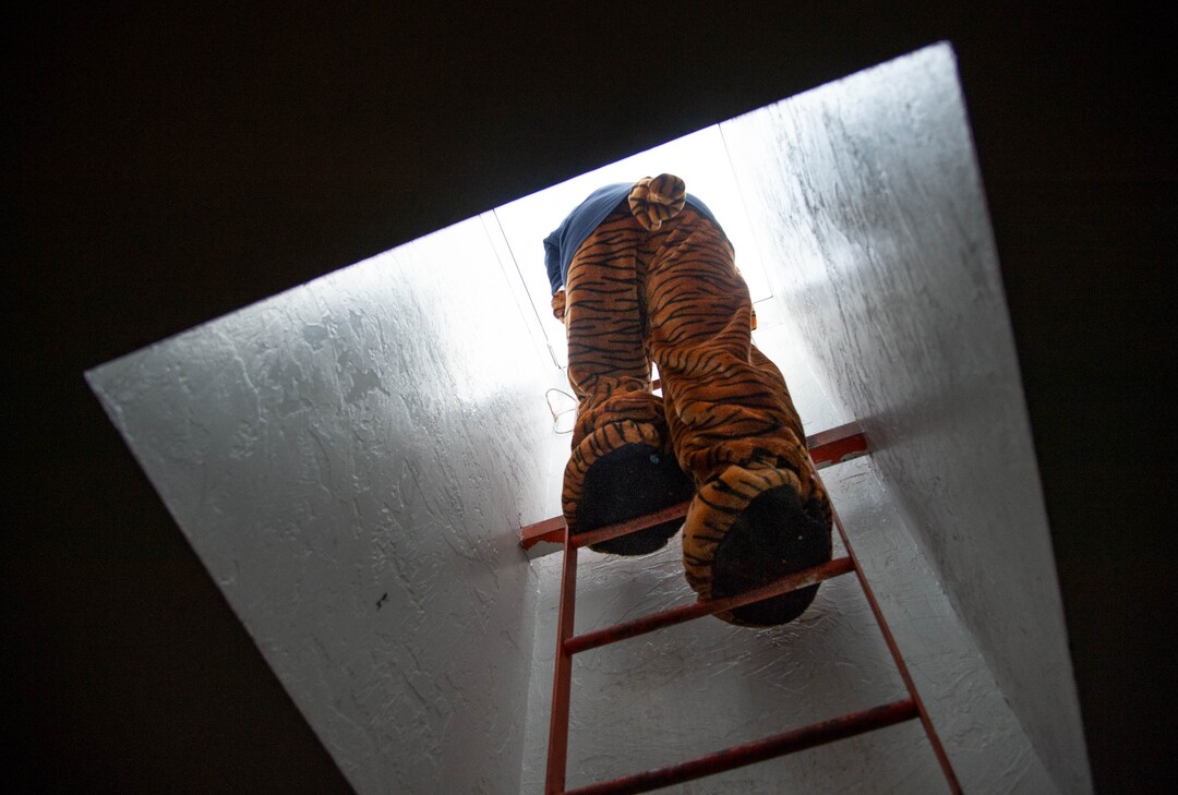 (Francisco Kjolseth  |  The Salt Lake Tribune) Home of the Cubs, Canyon View Elementary school mascot Bennie, played by PTA president Emily Weigel climbs the stairs to the roof of the school to welcome students back. It was the first day of classes for the Canyons School District on Monday, August 24, 2020.