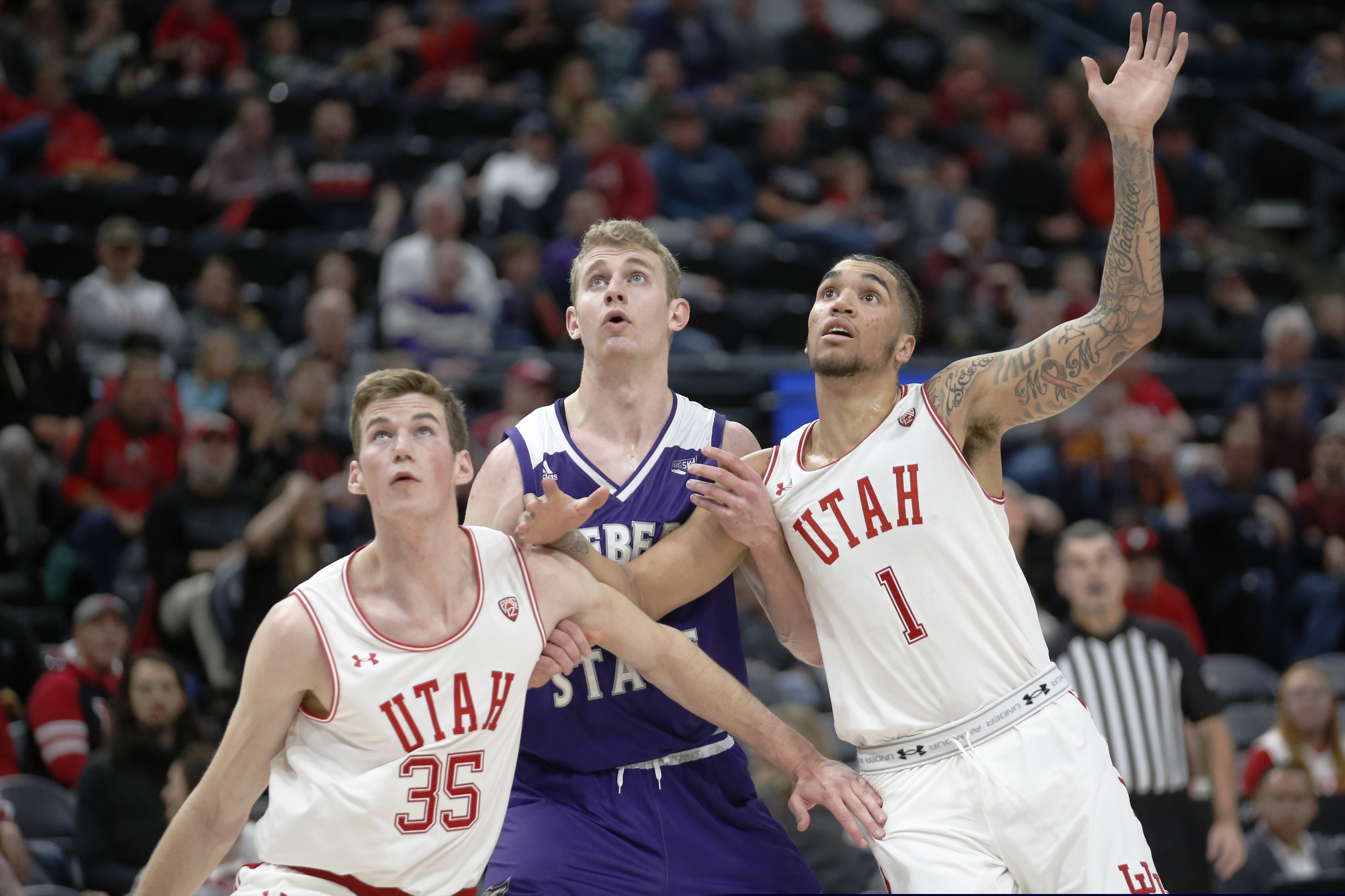 (AP Photo/Rick Bowmer) | Utah's Branden Carlson (35) and Timmy Allen (1) are expected to be two of Utah's floor leader this season as the young Utes try to climb into the upper half of the Pac-12 and contend for an NCAA Tournament berth.