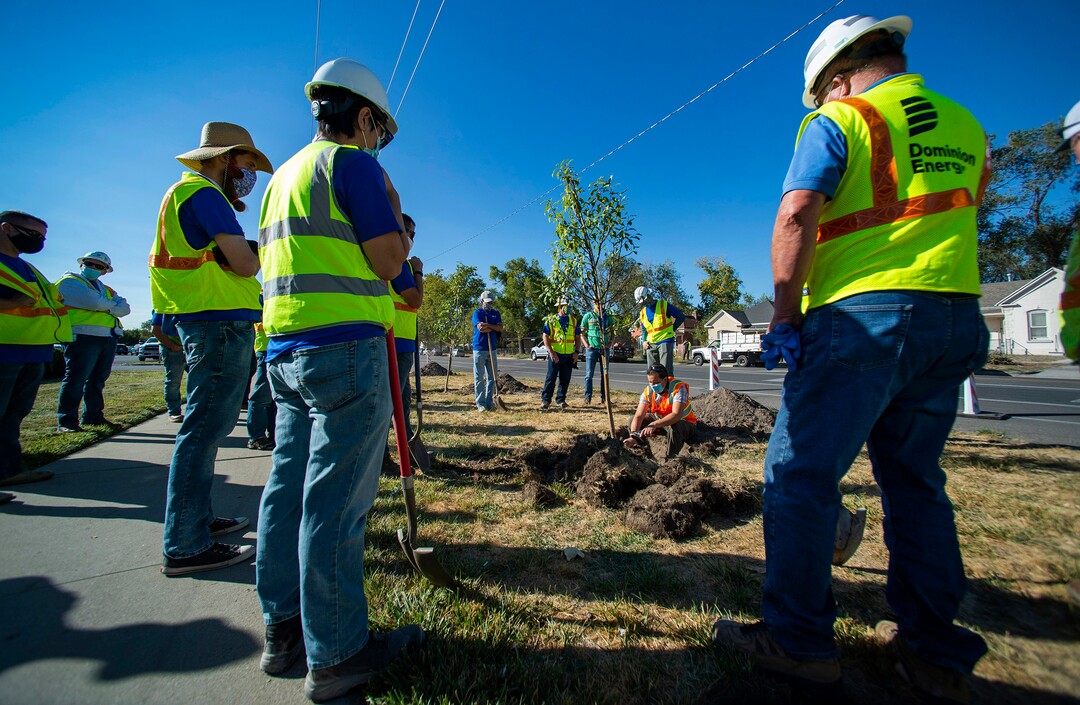 (Rick Egan  |  The Salt Lake Tribune)   Tony Gliot Division Director for Urban Forestry demonstrates how to plan a tree, to volunteers from Dominion Energy, who gathered to plant 205 trees in the Fairpark neighborhood, on Thursday, Oct. 1, 2020.