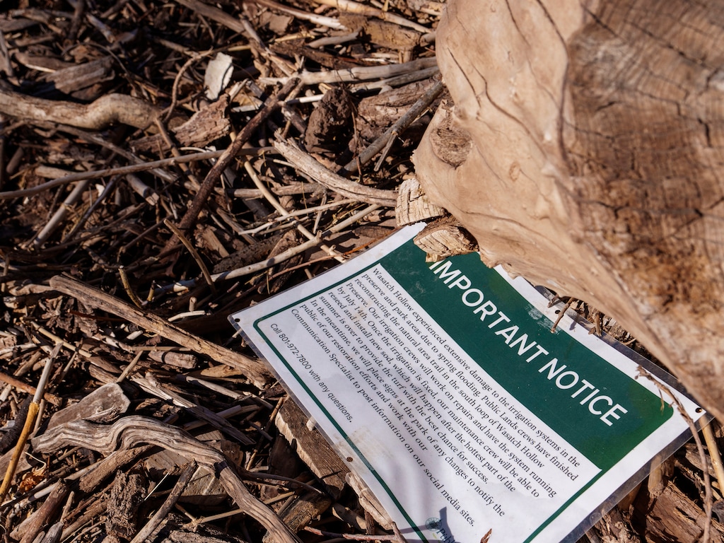 (Leah Hogsten | The Salt Lake Tribune) A sign explaining the condition of the lawn and irrigation system throughout Wasatch Hollow Preserve lies next to a debris pile, Saturday, July 29, 2023.