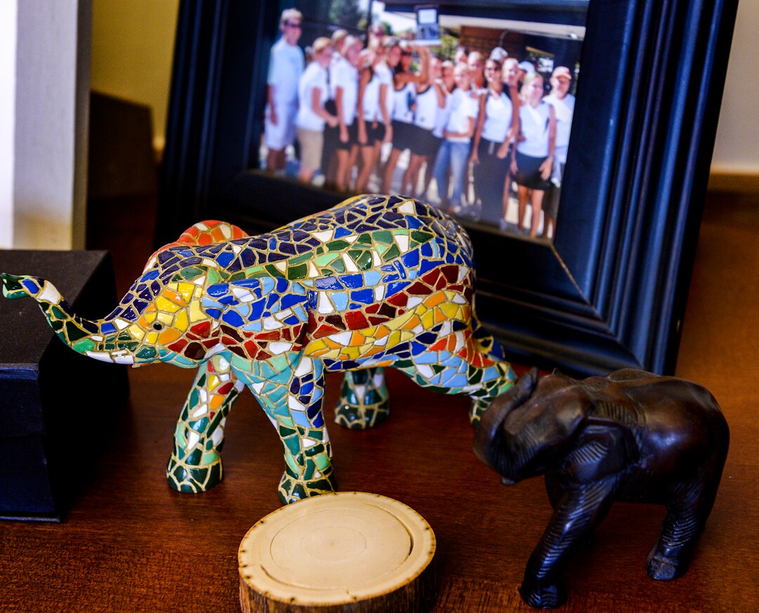 Leah Hogsten  |  The Salt Lake Tribune  Clark Ivory's office is decorated with family photographs, Italian and Romanian artwork and of course, elephants -- the symbol of Ivory Homes for almost 50 years. Clark Ivory, Ivory Homes CEO, Utah's most prominent homebuilders, says he is obsessed with solving the puzzle of affordability housing, even if that includes fighting residents and city officials in several communities over higher building densities.