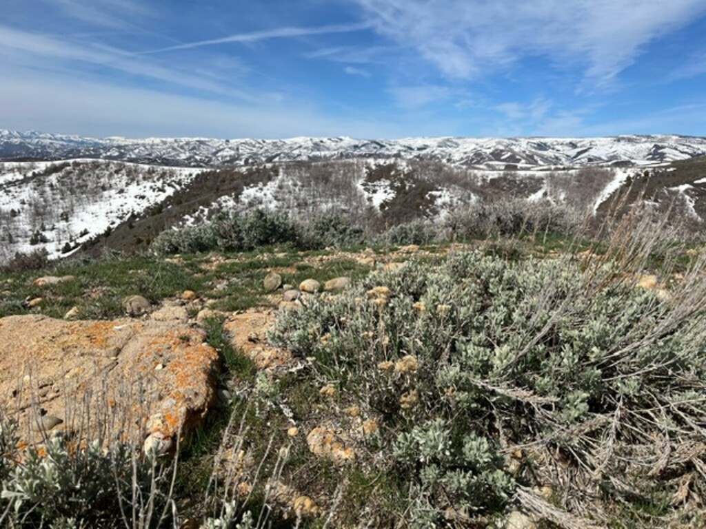 (Utah Division of Wildlife Resources) A view of the Deseret Cooperative Wildlife Management Unit, on land owned by The Church of Jesus Christ of Latter-day Saints. State officials culled 170 excess elk on the unit earlier this year, in what may be the largest-ever such project in the state.