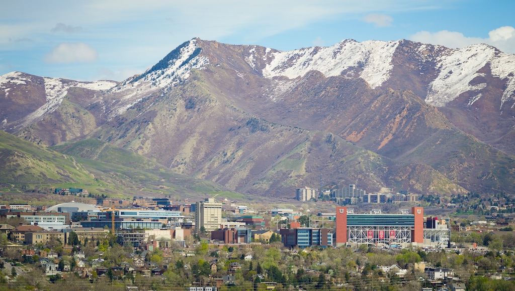 (Bethany Baker  |  The Salt Lake Tribune) The University of Utah campus in Salt Lake City pictured on Wednesday, April 17, 2024.
