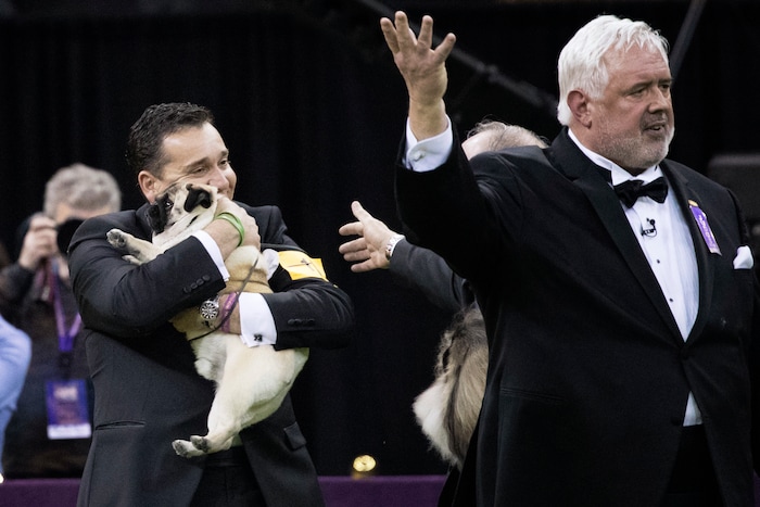 Handler Esteban Farias hugs Biggie, a pug, after he won the Toy group competition during the 142nd Westminster Kennel Club Dog Show, Monday, Feb. 12, 2018, at Madison Square Garden in New York. Biggie won best in group. (AP Photo/Mary Altaffer)