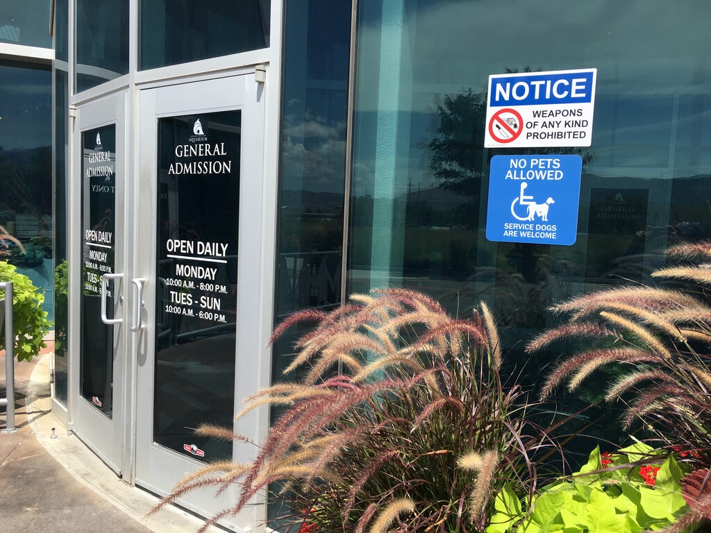 (Erin Alberty, The Salt Lake Tribune) This sign shows no weapons are allowed at the Loveland Living Planet Aquarium in Draper.