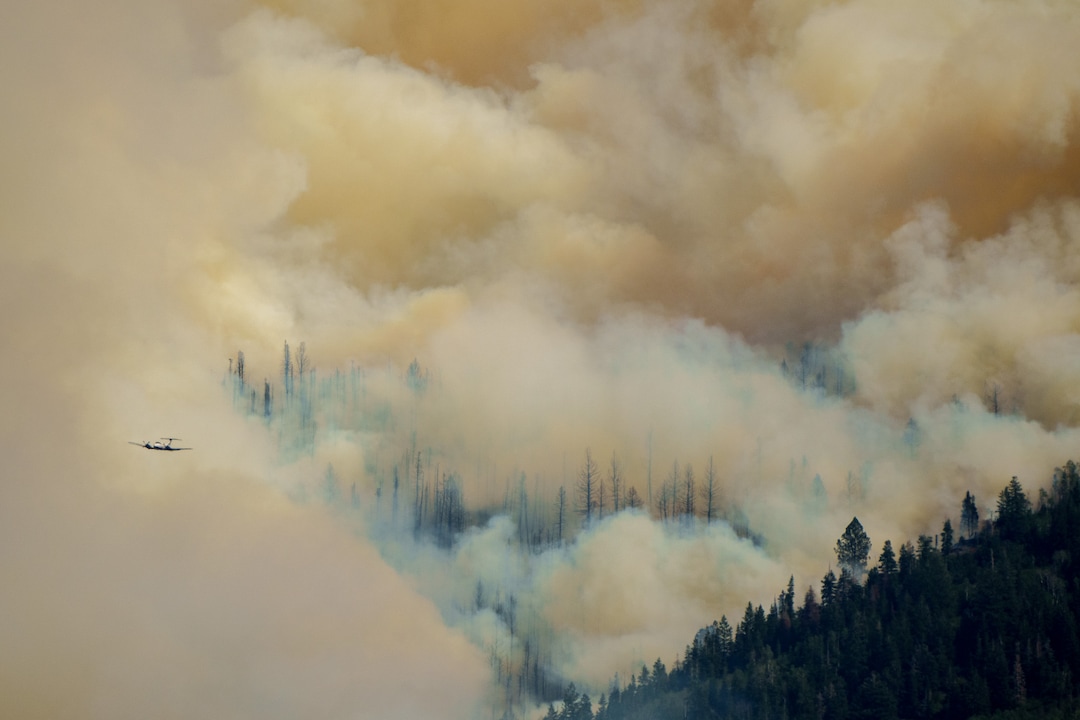 (Trent Nelson  |  The Salt Lake Tribune) The Parleys Canyon Fire burns on Saturday, Aug. 14, 2021.
