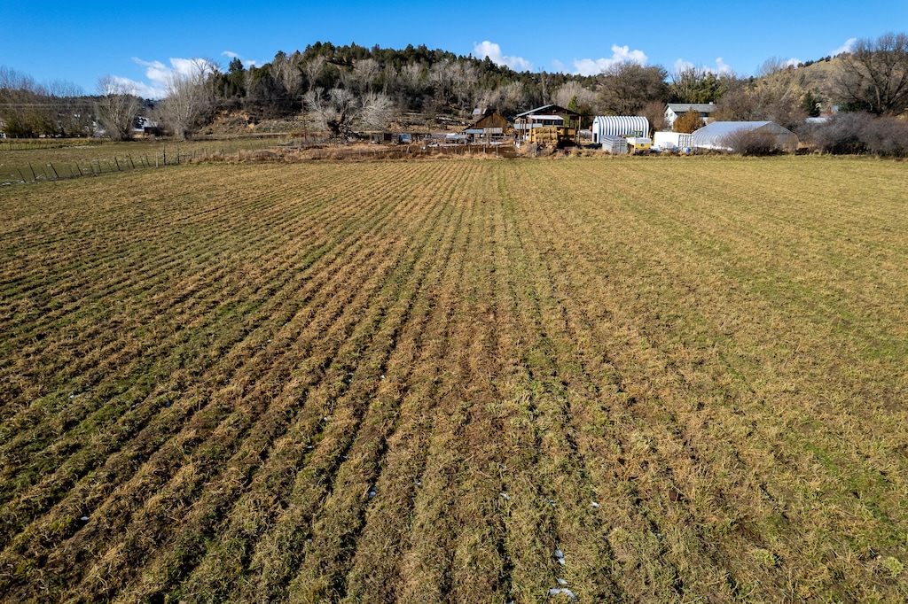 (Trent Nelson  |  The Salt Lake Tribune) Alfalfa fields in Mt. Carmel  on Thursday, Nov. 10, 2022.