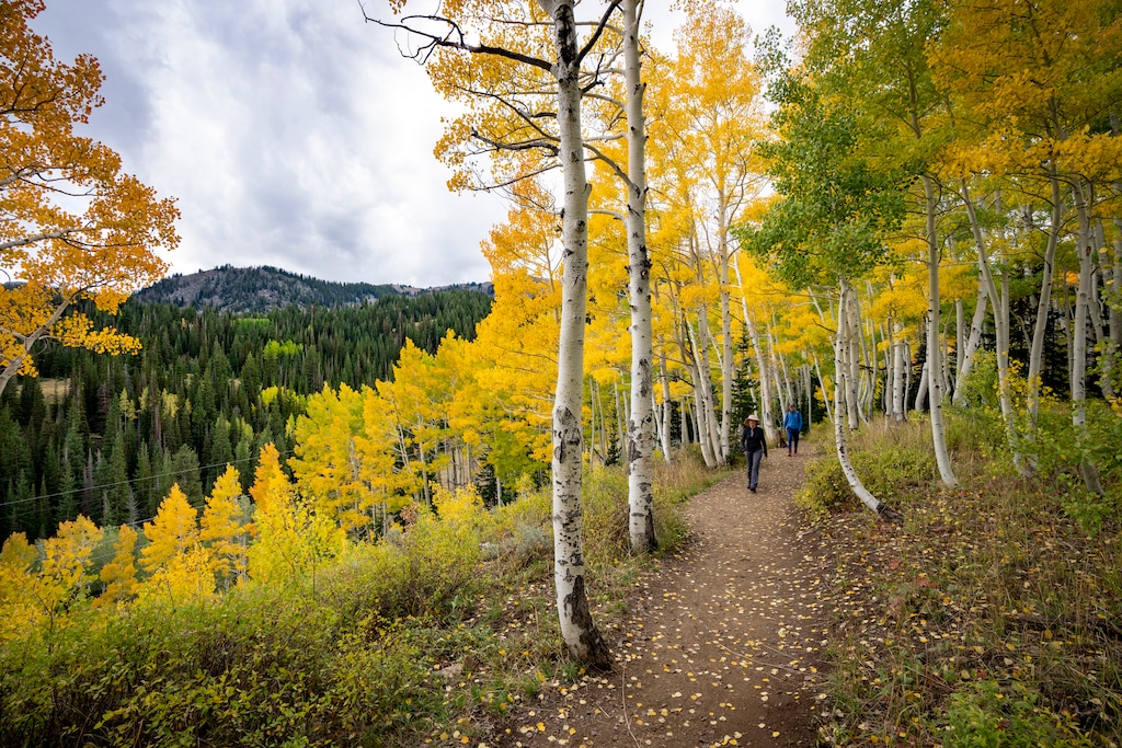 (Rick Egan | The Salt Lake Tribune) Hikers on the Bloods Lake Trail, on Tuesday, Sept. 22, 2026.