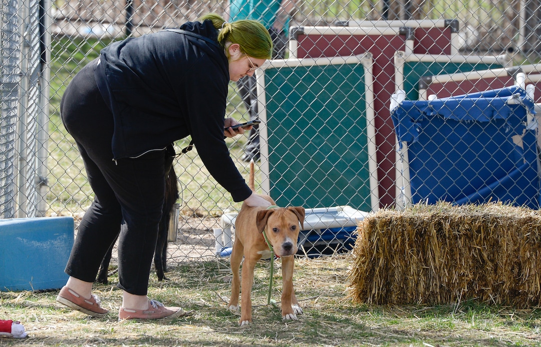 (Francisco Kjolseth  |  The Salt Lake Tribune) Asti Manning of Magna and her current dog Amy, meet Red for the first time at the West Valley City Animal Shelter on Thursday, April 2, 2020, for a dog-to-dog introduction as shelter staff maintain their distance due to COVID-19. Many shelters are experimenting with new ways to connect animals to potential owners without allowing people into the shelter. Despite numerous restrictions, adoption numbers seem to be up.