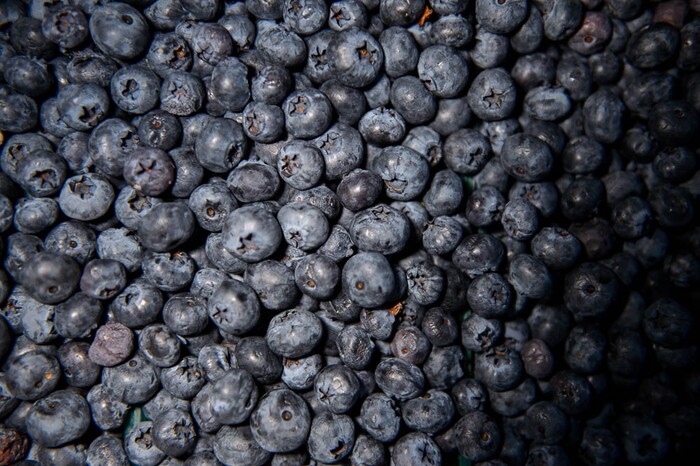 (Trent Nelson | The Salt Lake Tribune)  Blueberries from Weeks Berries of Paradise at the Tuesday Farmer's Market in Salt Lake City's Pioneer Park, Tuesday Aug. 14, 2018. The laid-back market continues now through September and features about 20 vendors.