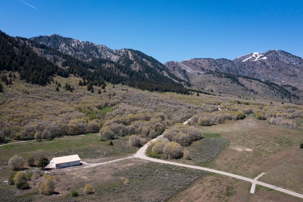 (Bethany Baker  |  The Salt Lake Tribune) Preserved open space land in Sardine Canyon is seen near Wellsville on Friday, May 2, 2025.