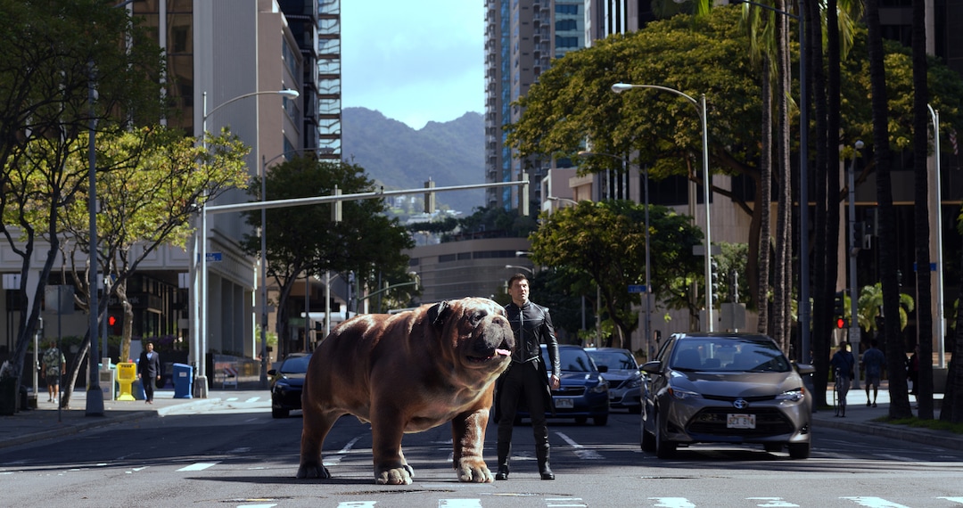 (ABC/Marvel) Lockjaw the CGI dog and Blackbolt (Anson Mount) in “Marvel's Inhumans.”