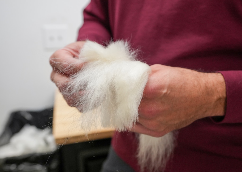 (Chris Samuels | The Salt Lake Tribune) Founder Matt Disney shows loose wool at Wūru Wool’s production location in Murray, Monday, Oct. 27, 2025.